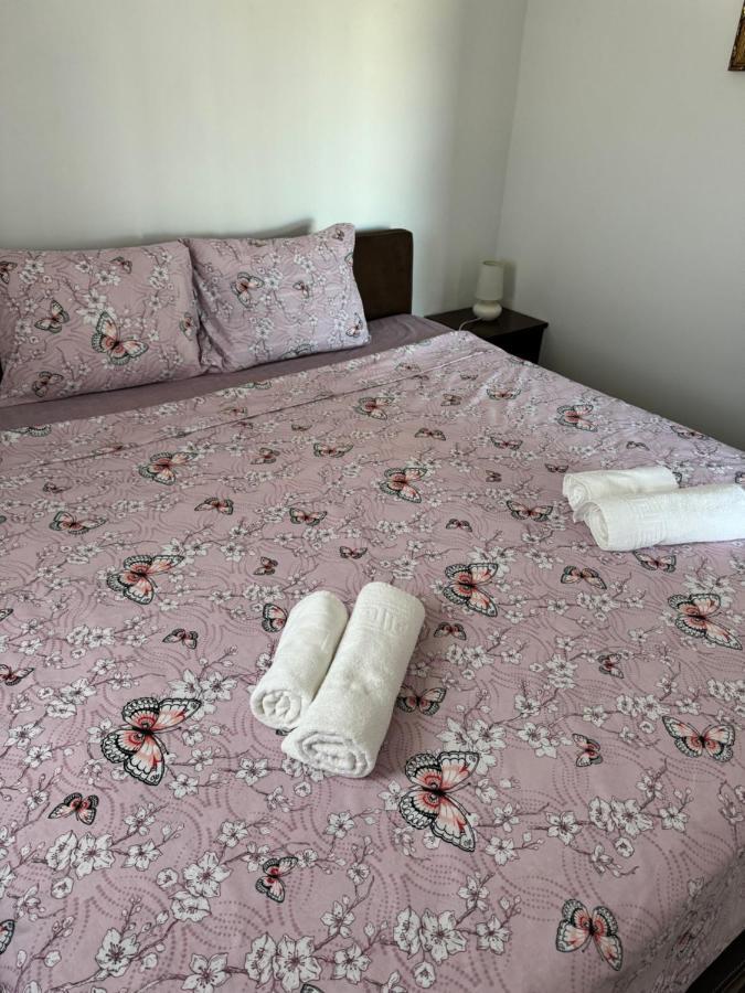 Apartments Airport Golubovci 포드고리차 외부 사진